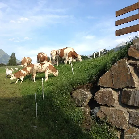 Bacherhof *