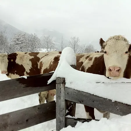 Apartament Bacherhof